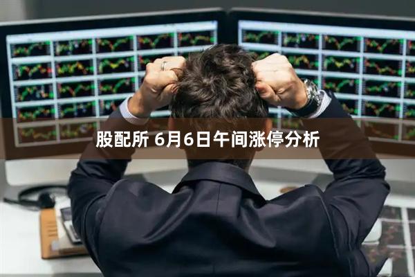 股配所 6月6日午间涨停分析