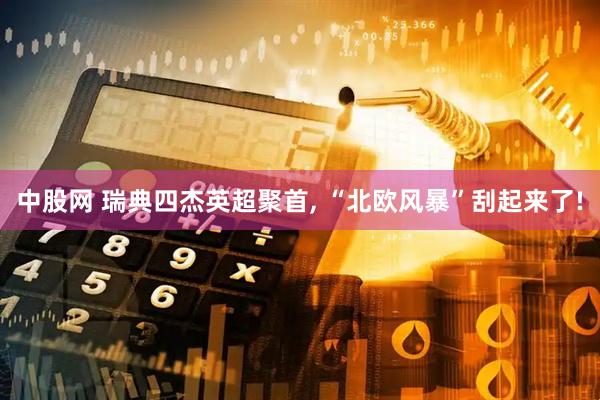 中股网 瑞典四杰英超聚首, “北欧风暴”刮起来了!