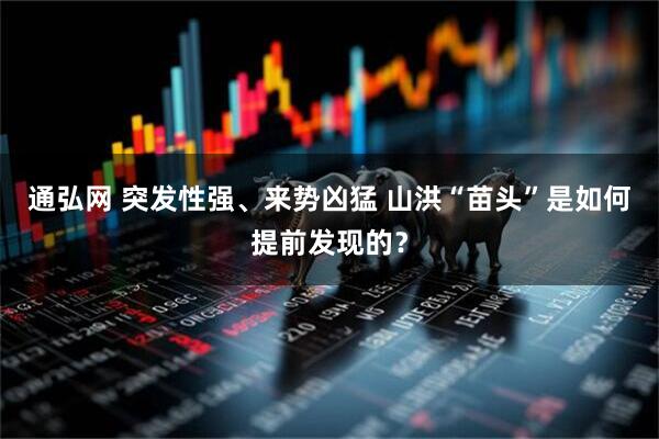 通弘网 突发性强、来势凶猛 山洪“苗头”是如何提前发现的？