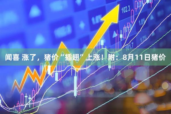 闻喜 涨了，猪价“插翅”上涨！附：8月11日猪价